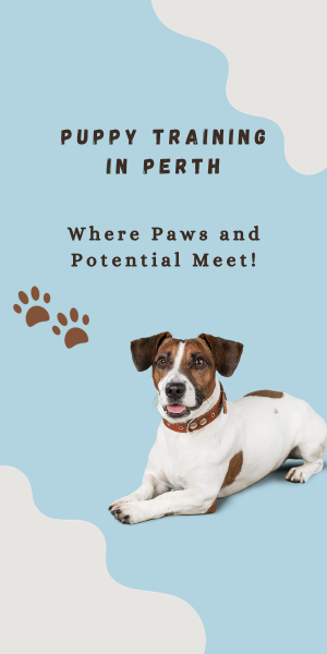 puppy training Perth